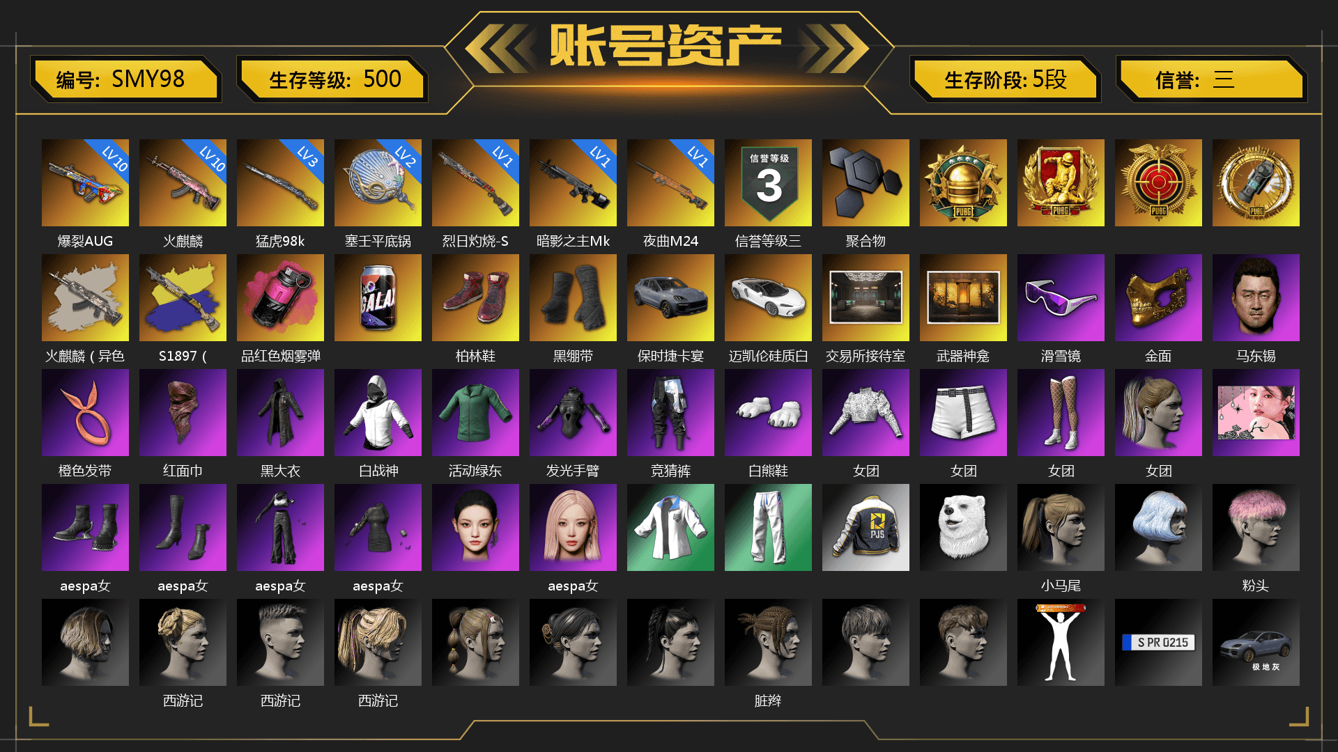 Magenta Smoke Grenade, Hi-top Trainers (Red), Duncan's Infiltrator Handwraps, «Cayenne Turbo GT» SUV, Weapons Shrine, Snow Glasses, PGC 2021 Contingent Chaos Mask, PLAYERUNKNOWN's Bandana, Heavy Fur Coat (Black), Polar Bear Feet, aespa Stage, Harley Quinn's Hair, aespa NINGNING, XingHun's Tiger Strike Jacket, XingHun's Tiger Strike Pants, PJS 2019 Phase 2 Jacket, XiongDi Hoodie, NH-Esports Jacket, StreamerOne, aespa GISELLE, HUYA T-shirt, Sideshow Bear Feet - 1
